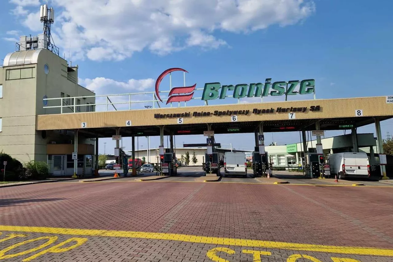 Ceny ogórków wystrzeliły, porzeczki po 40 zł. Co dzieje się na Broniszach?