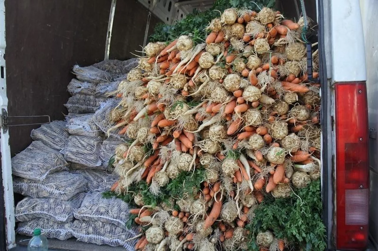 Maliny po 50 zł/kg, ogórki potaniały o połowę. Jakie dziś ceny na Broniszach?