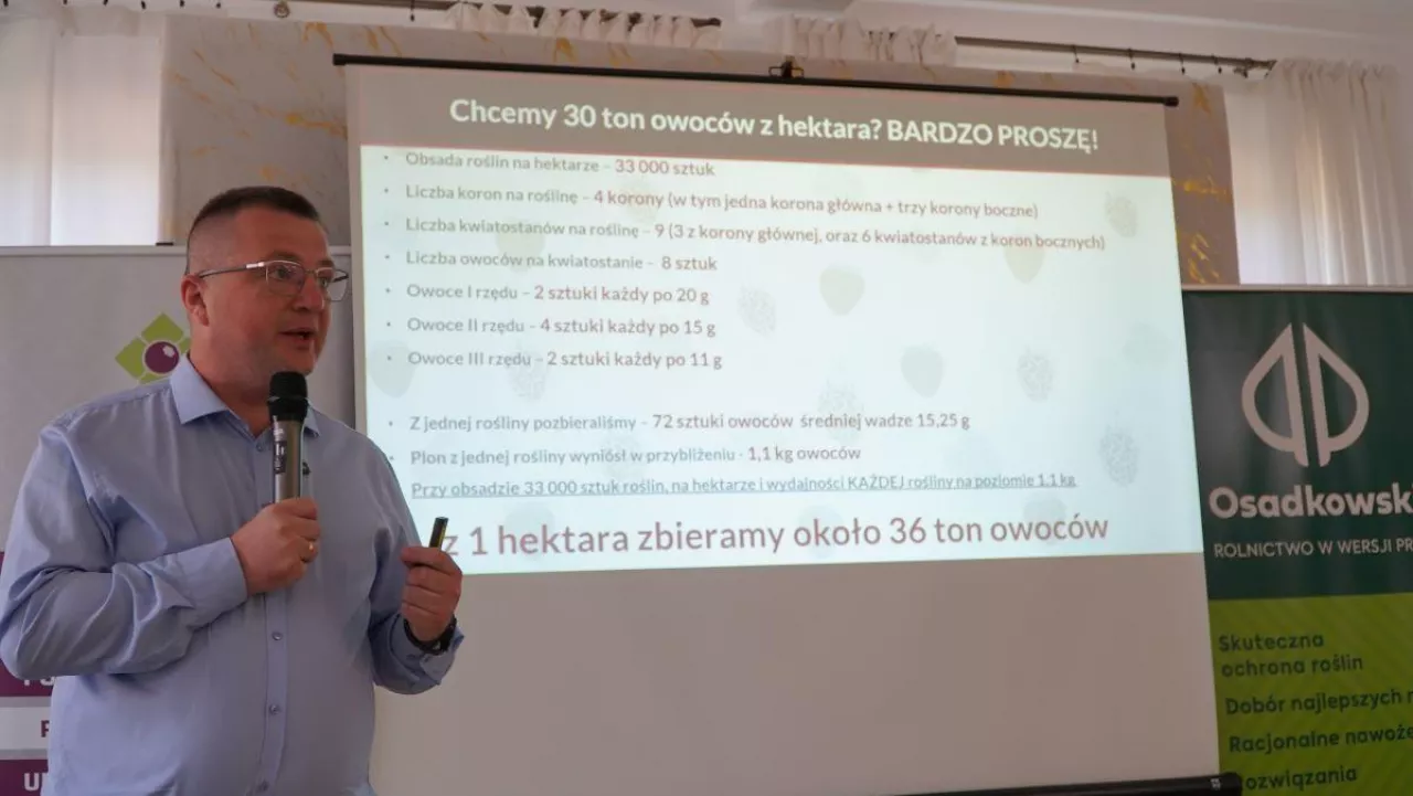 Albert Zwierzyński, Doradca Jagodowy