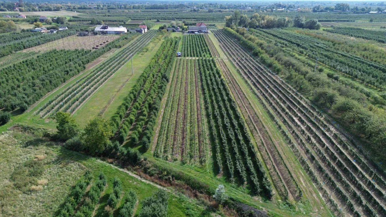 Gospodarstwo Łukasza Cielmy, Lubelszczyzna