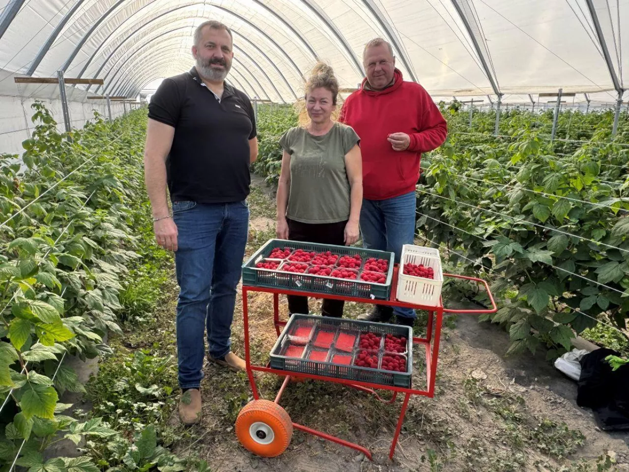Sylwia i Adam Sawiarscy, gospodarze spotkania w towarzystwie Piotra Jakóbczyka, prezesa Witabo i plantatora m.in. malin 